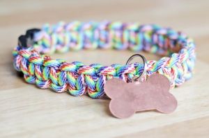 Click here to get instructions on this really cool collar! 